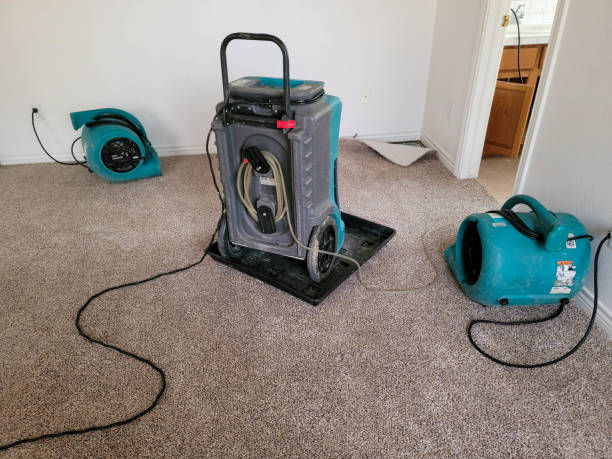 Best Water damage restoration cost  in Chandler, OK