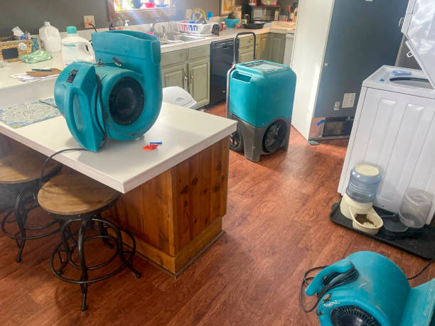 Best Water damage restoration specialists  in Chandler, OK