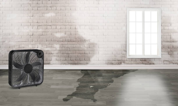 Best Mold removal after water damage  in Chandler, OK