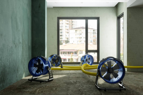 Trusted Chandler, OK Water damage restoration Experts